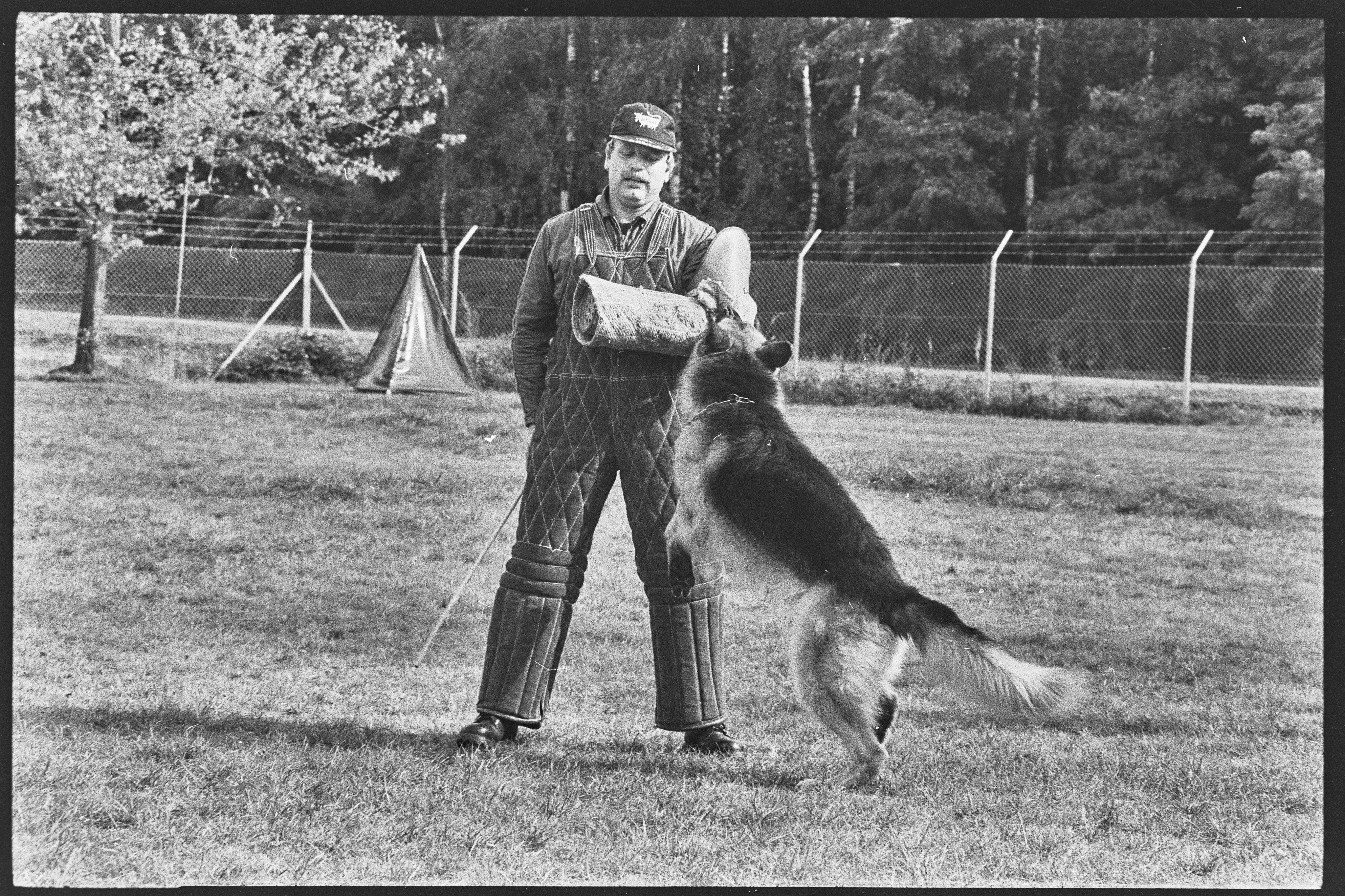 Dog test at the Karlsruhe Nuclear Research Center, September 21, 1979, photographer unknown. KIT Archives 28028/06442.